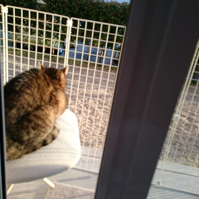 lilyさんの実例写真