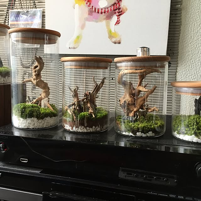 mosslightさんの実例写真