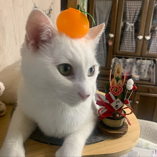 kuntaさんの実例写真
