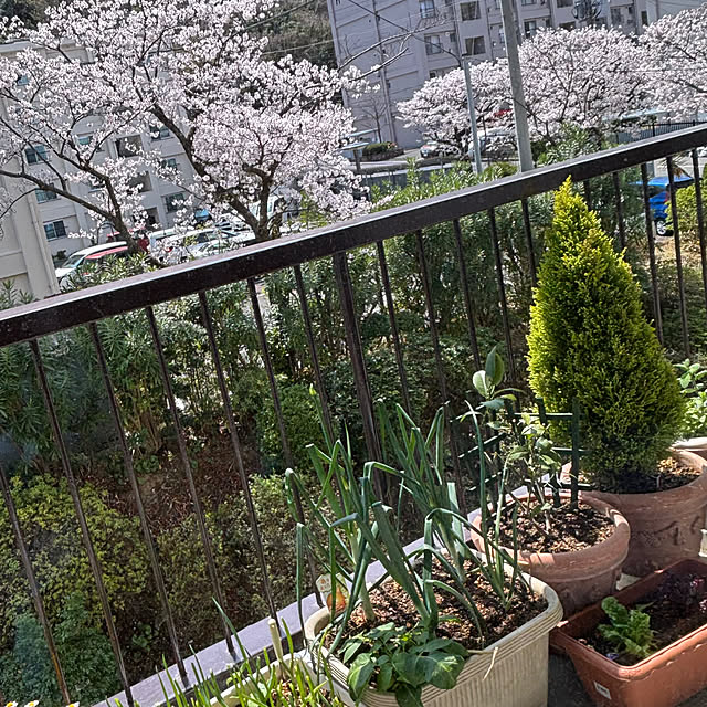 syutmmさんの部屋