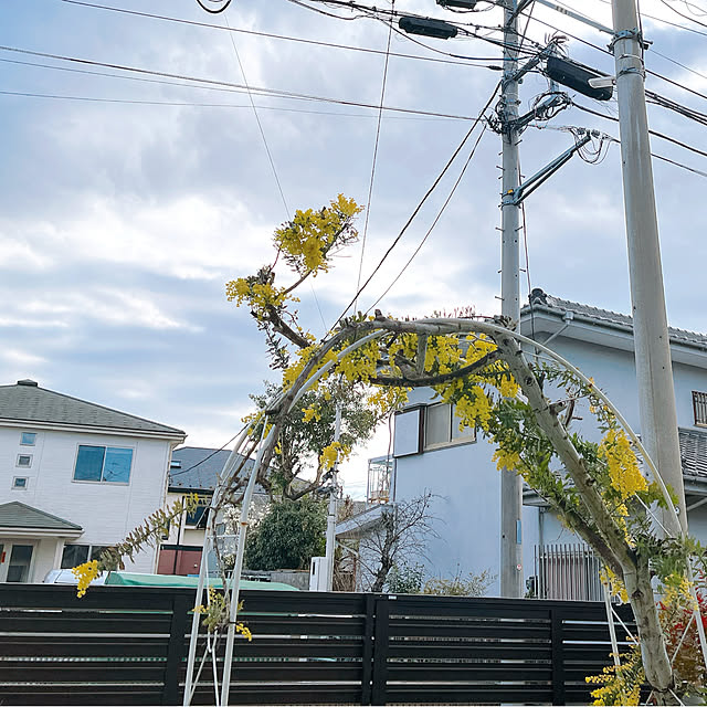 eriharuさんの部屋