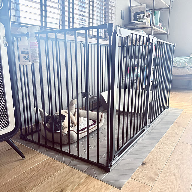 mid0konさんの部屋