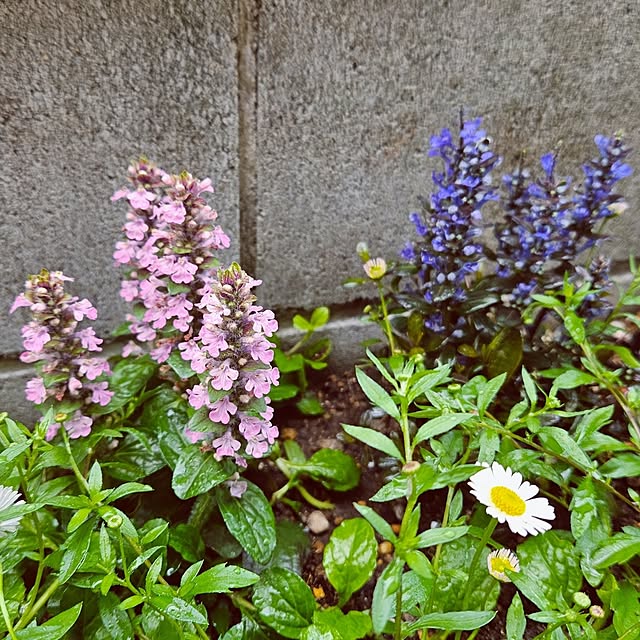 mocomocoさんの部屋