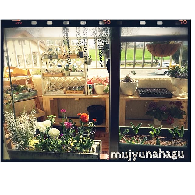mujyunahaguさんの実例写真