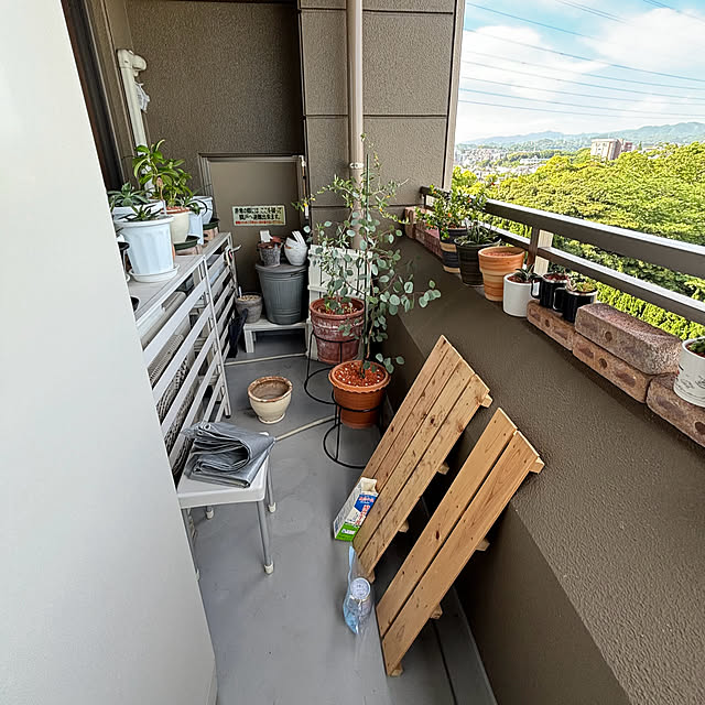koshiregutyoさんの部屋