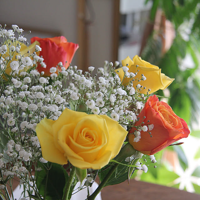 busho_no_hahaさんの部屋