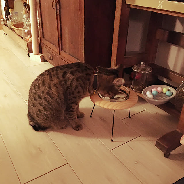 Mさんの実例写真
