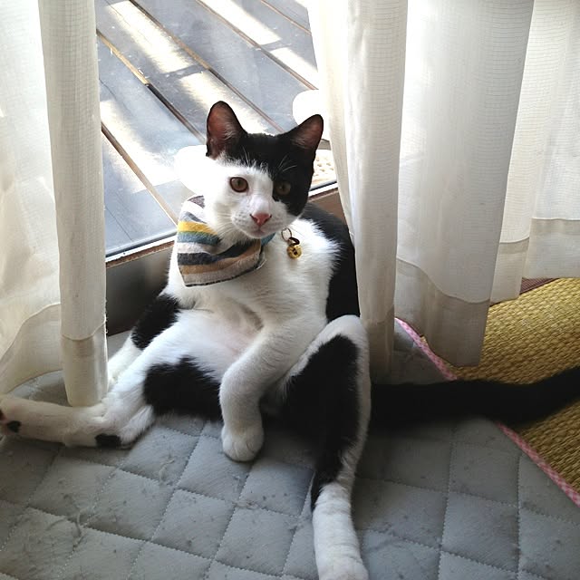 konatsuさんの実例写真