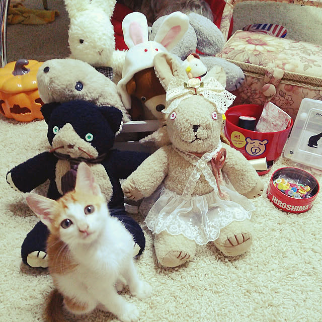 mcomcoさんの実例写真