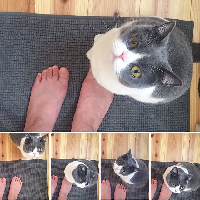 mohayaeteさんの実例写真
