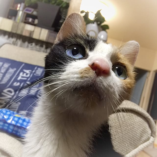 aym0418さんの実例写真
