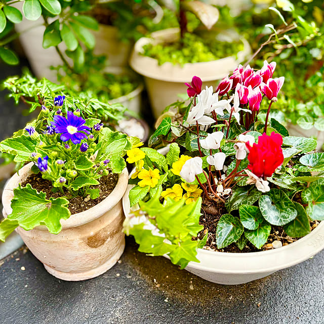 tututu0204さんの実例写真