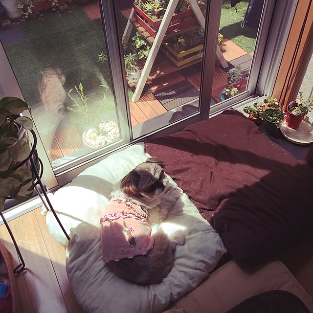 ANNAさんの実例写真