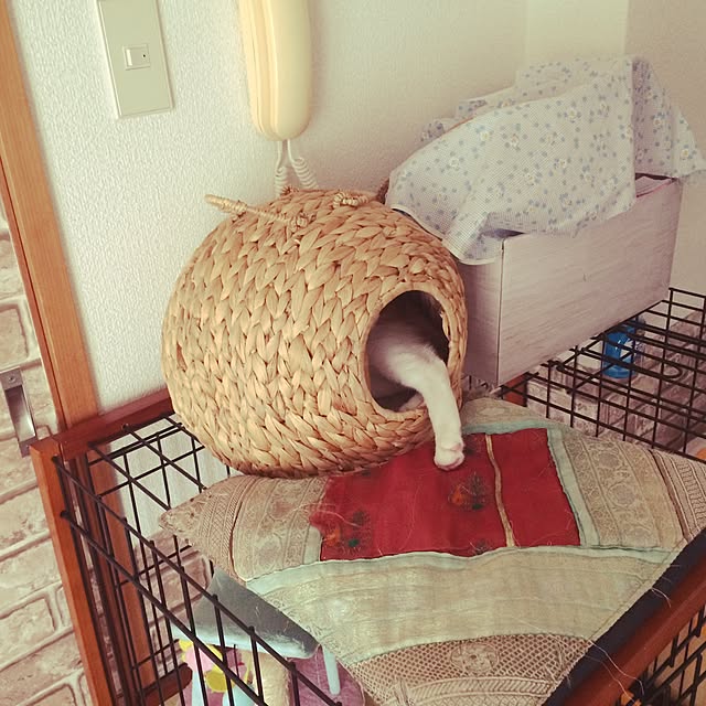 ennaさんの実例写真