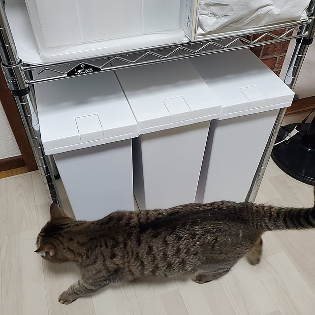 berariさんの実例写真