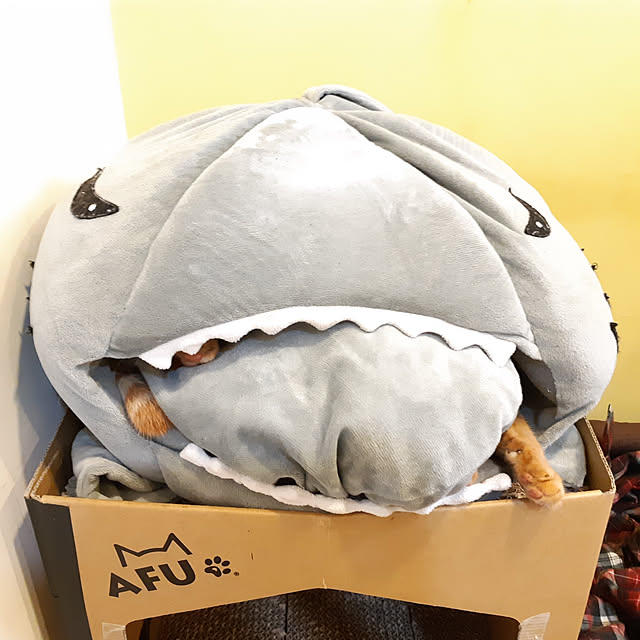 CinqinTWさんの実例写真