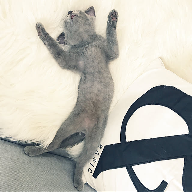 Melさんの実例写真