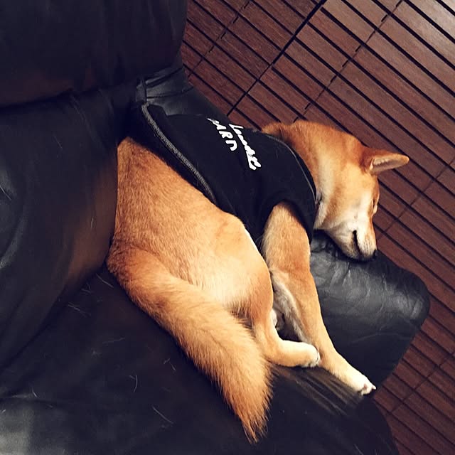 kaOriさんの実例写真