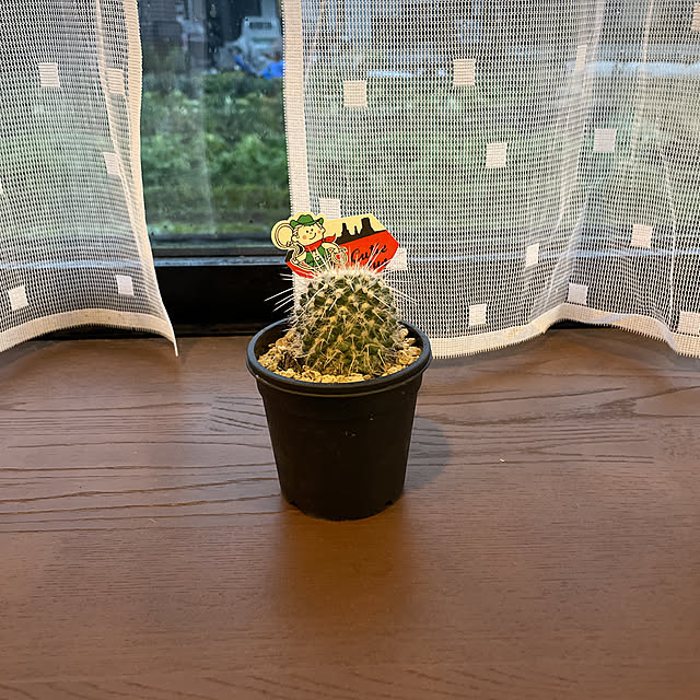 akkeyさんの実例写真