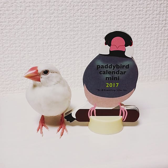tmkさんの実例写真