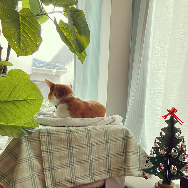chakuron.iさんの実例写真