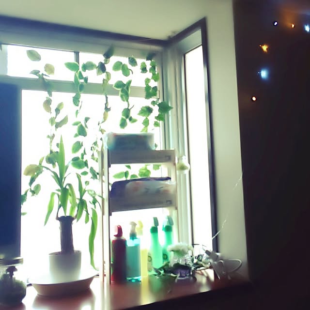 Kaoriさんの実例写真