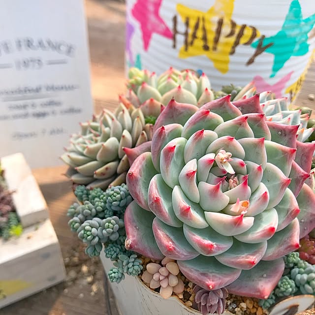 minminさんの実例写真
