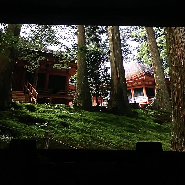 Shigeさんの実例写真