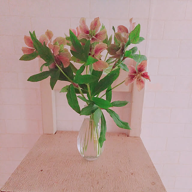 magnoliaさんの実例写真