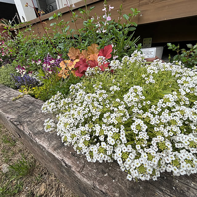 nishimiさんの部屋