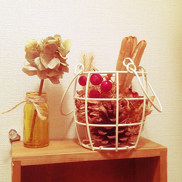 バス/トイレ/ハンドメイド/植物のインテリア実例 - 2015-02-02 18:48:30