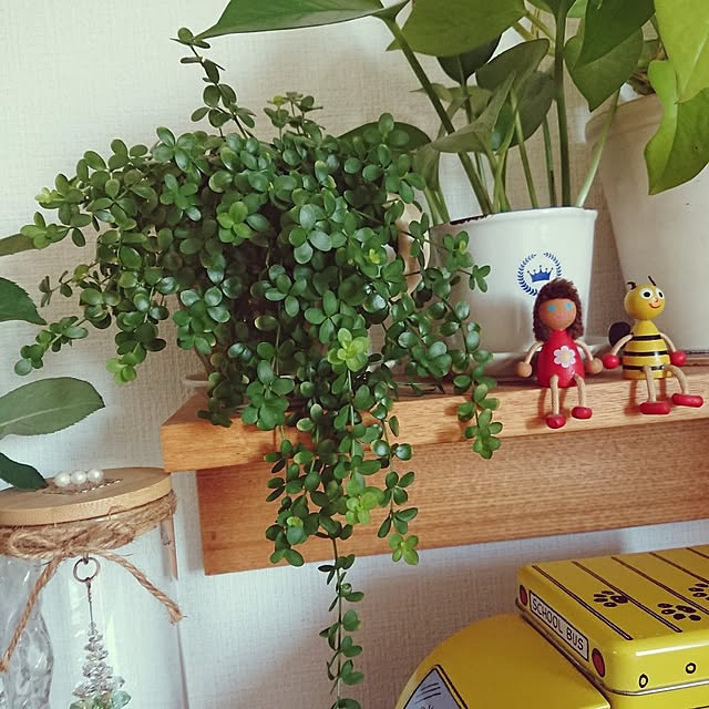 hopkeiさんの実例写真