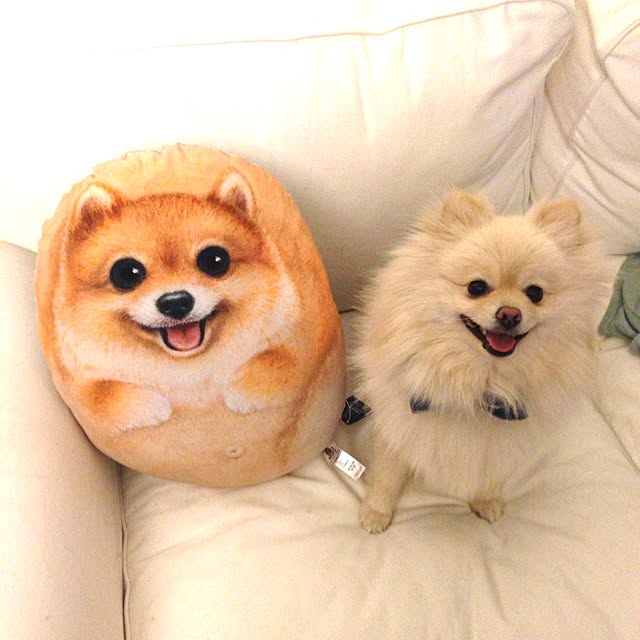wchaさんの実例写真