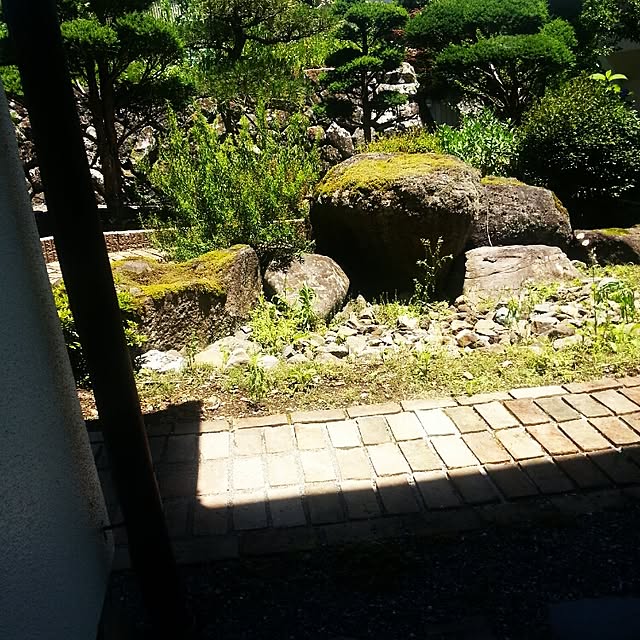 Noppogiさんの実例写真