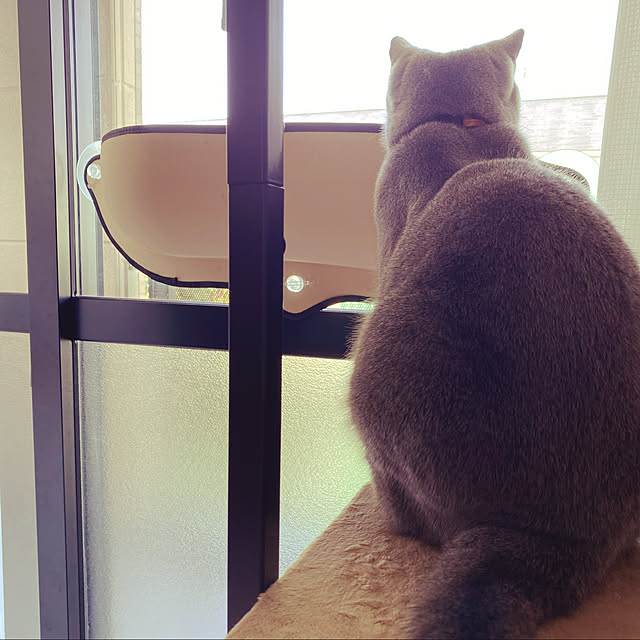 hachiさんの実例写真