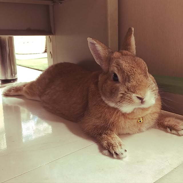 Yasuyukiさんの実例写真