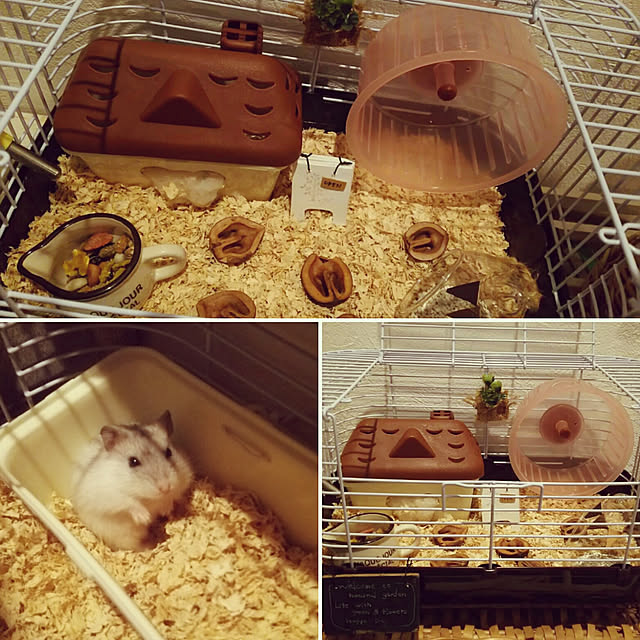 mihoさんの実例写真