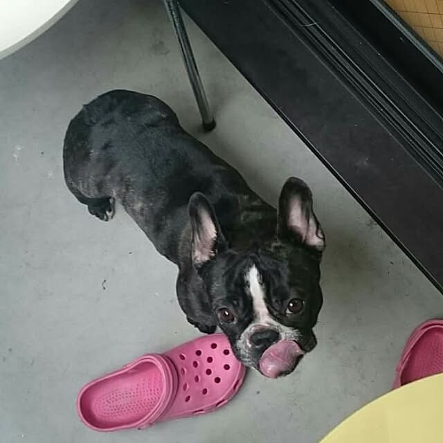 Yuki_sharaさんの実例写真