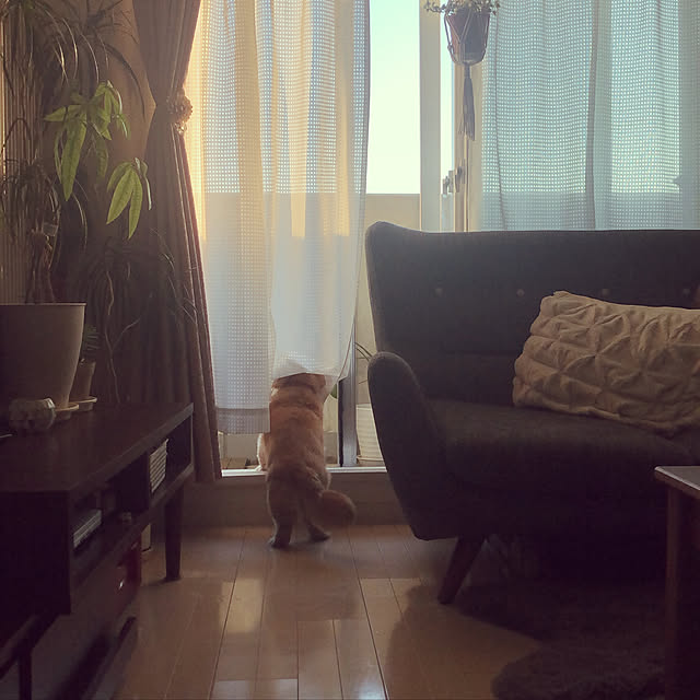 Sさんの実例写真