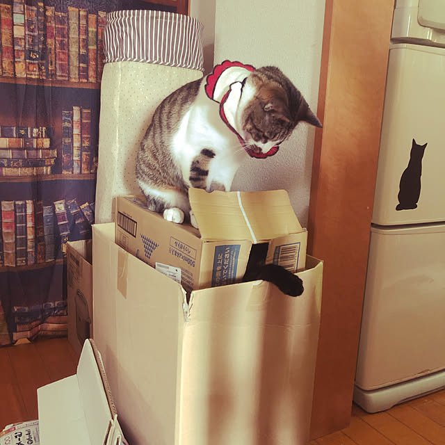 jijiさんの実例写真