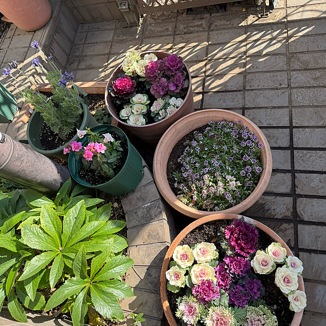 mamizaさんの部屋