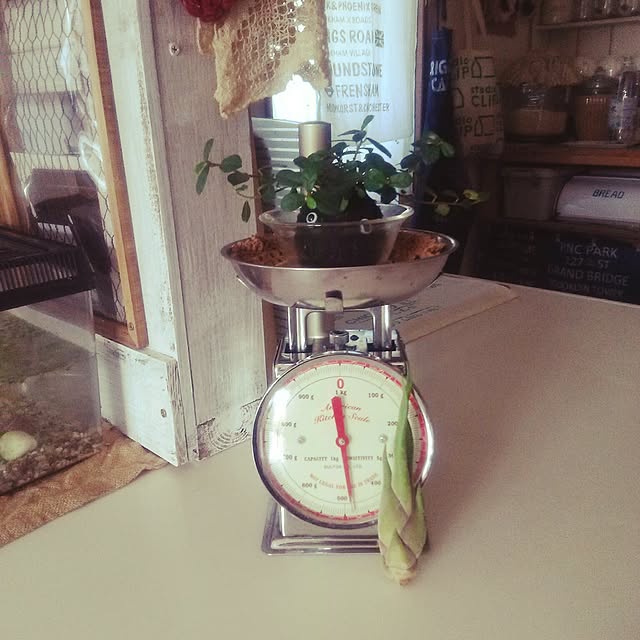 sawamiさんの実例写真