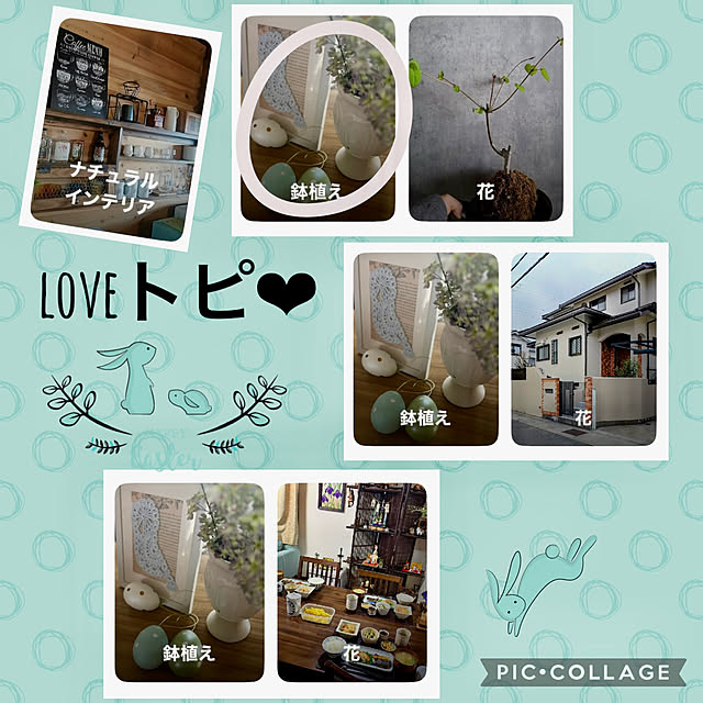 CoCo0617さんの実例写真