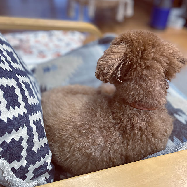 yukichi.wanwaさんの部屋