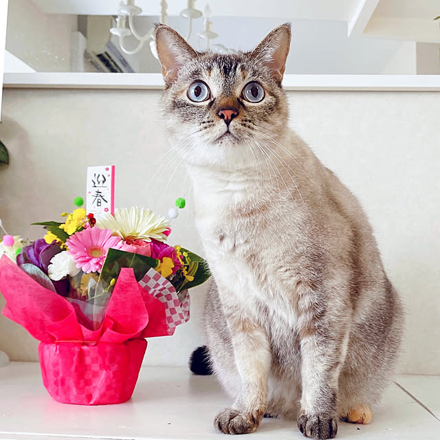 noelさんの実例写真