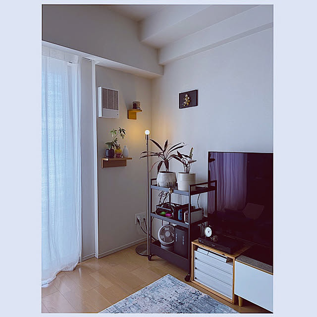 RITSUさんの実例写真