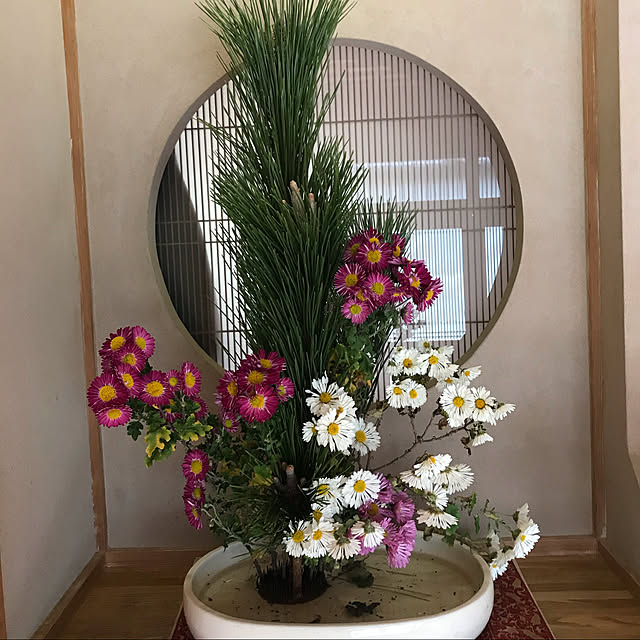実例写真