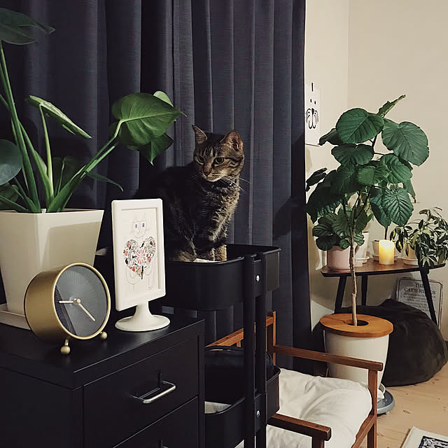 ineko_kさんの実例写真