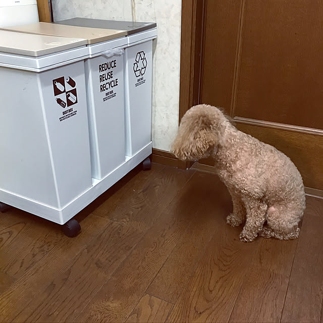 Lilicoさんの実例写真