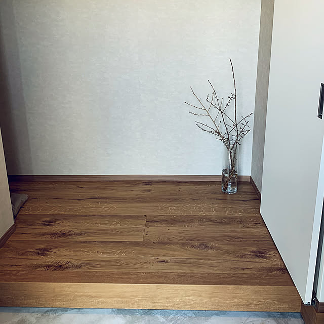 玄関/入り口のインテリア実例 - 2020-03-15 15:37:54